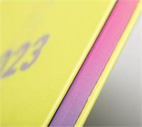 AGENDA INTERAMENTE PERSONALIZZABILE IN PU
